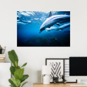 Dolfijnen Onderwater Poster (Thuiskantoor)