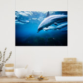 Dolfijnen Onderwater Poster (Keuken)