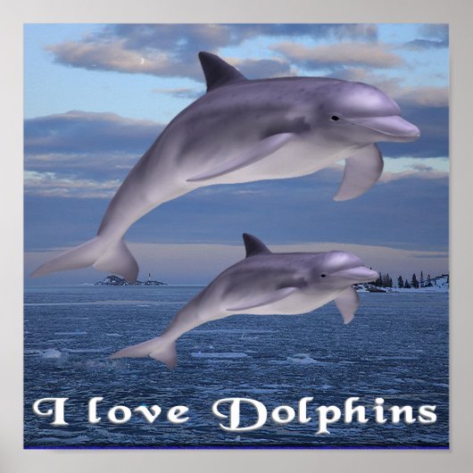 dolfijnen poster (Voorkant)
