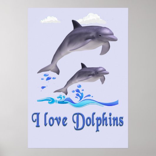 Dolfijnen Poster (Voorkant)