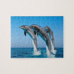 Dolfijnen Spel Puzzel