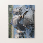 Dolfijnen Spel Puzzel (Verticaal)