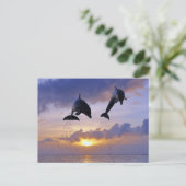 Dolfijnen springen op zonsondergang briefkaart (Staand voorkant)