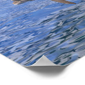 Dolfijnen springen uit het water poster (Hoek)