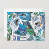 Dolfijnen Stamps briefkaart (Voorkant / Achterkant)