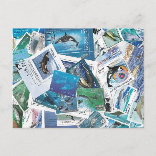 Dolfijnen Stamps briefkaart (Voorkant)