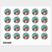 Dolfijnen Stickers (Vel)