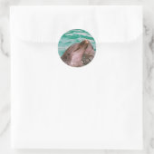 Dolfijnen Stickers (Tas)