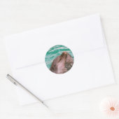 Dolfijnen Stickers (Envelop)