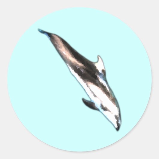 Dolfijnen Stickers (Voorkant)