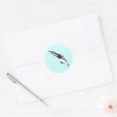 Dolfijnen Stickers (Envelop)