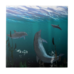 dolfijnen tegeltje