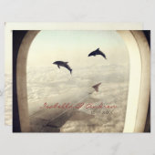 Dolfijnen - Weddenschap Kaart (Voorkant / Achterkant)