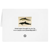 dolfijnen, zeedieren en zoogdieren (Achterkant Horizontaal)