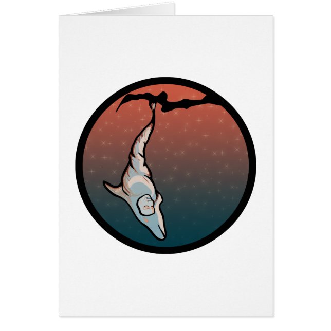 dolfijnencocoon (Voorkant)