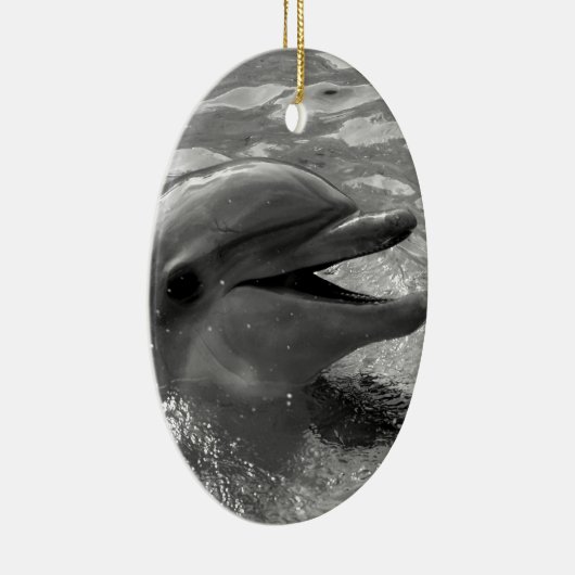 Dolfijnkop in watermond open zwart-wit keramisch ornament (Rechts)