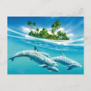 Dolfijnparadijs Briefkaart
