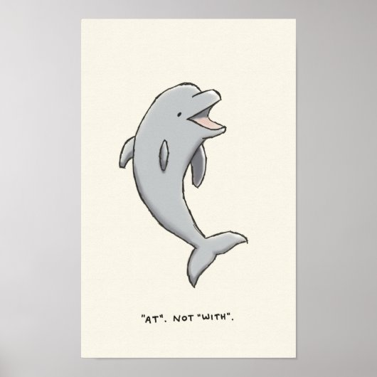 dolfijntrivia poster (Voorkant)