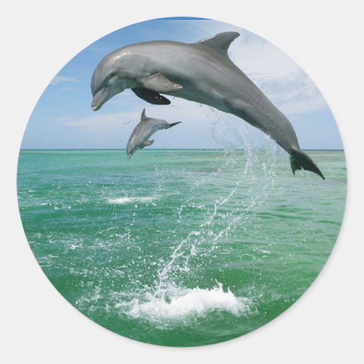 Dolfine in het wild springen en spelen ronde sticker (Voorkant)