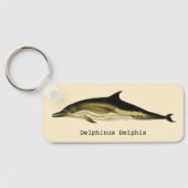  dolfinedelphinus delphis, zeezoogdieren sleutelhanger (Achterkant)