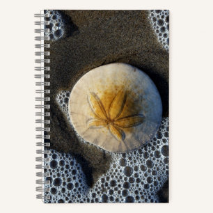 Dollar de sable et Surf de plage Photo 8x5 Carnet