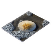 Dollar de sable et Surf de plage Photo Carnet spir (Côté gauche)