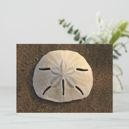 Dollar de sable Shell Beach Invitation (Photo coul (Debout devant)