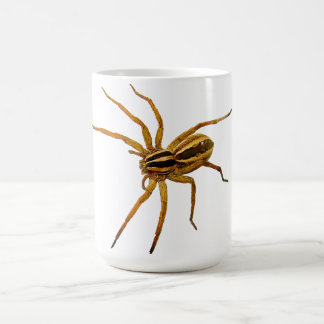 Dolle Wolfspin (Rabidosa rabida) Koffiemok