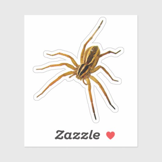 Dolle Wolfspin (Rabidosa rabida) Sticker (Vel)