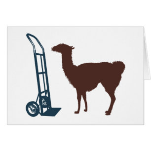 Dolly llama