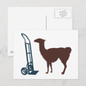 Dolly llama briefkaart (Voorkant / Achterkant)