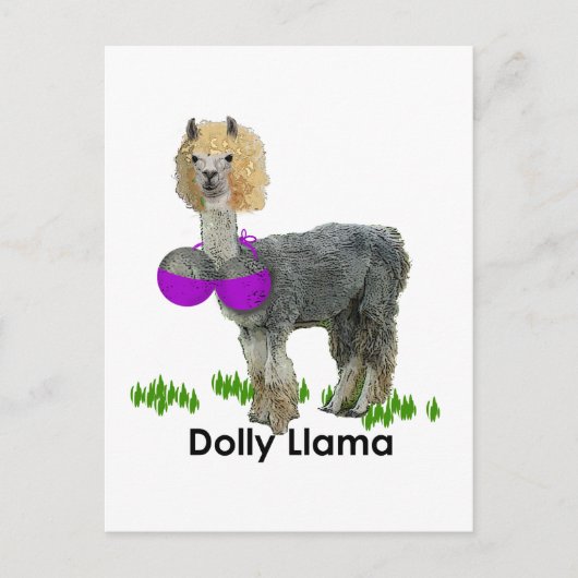 Dolly Llama Briefkaart (Voorkant)