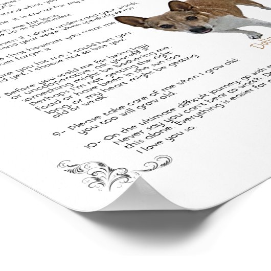 Dolly - Poster (Hoek)