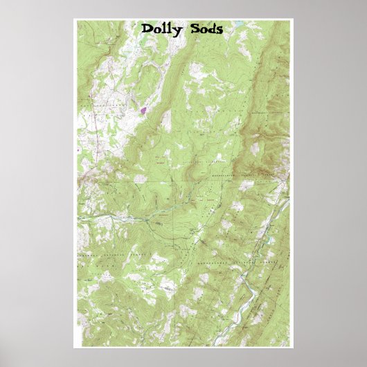 Dolly Sods Poster (Voorkant)