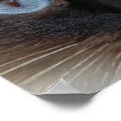 DOLLY THE RAGDOLL CAT POSTER (Hoek)