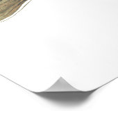 Dolly Varden Trout Art Poster (Coin)