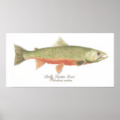 Dolly Varden Trout Art Poster (Devant)