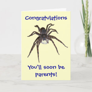 Dolomedes Felicitaties aan aanstaande ouders Kaart