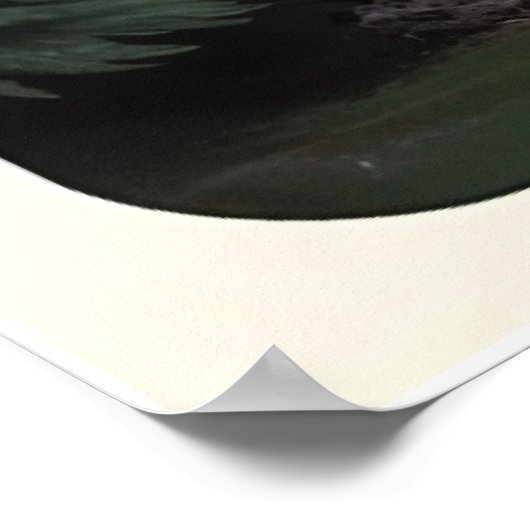 Dolomieten Reizen Poster (Hoek)