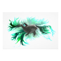 Dolphin Baby