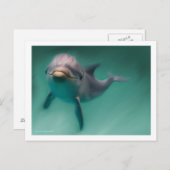Dolphin Briefkaart (Voorkant / Achterkant)