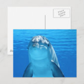 Dolphin Briefkaart (Voorkant / Achterkant)