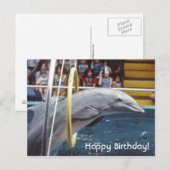 Dolphin Briefkaart (Voorkant / Achterkant)
