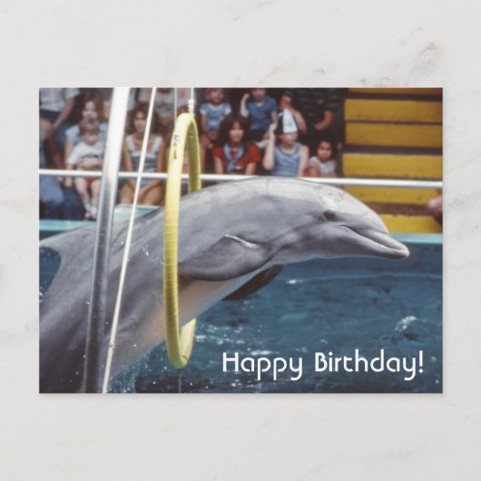 Dolphin Briefkaart (Voorkant)