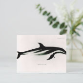 Dolphin Briefkaart (Staand voorkant)
