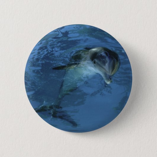 Dolphin Button (Voorkant)