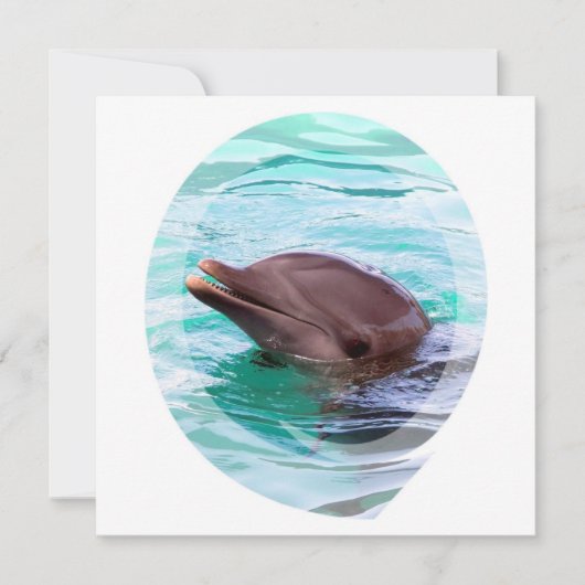 Dolphin Design Invitations Kaart (Voorkant)