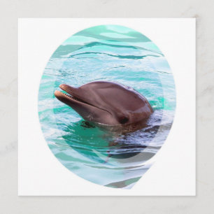 Dolphin Design Invitations Kaart