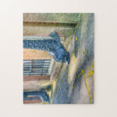 Dolphin Downspout Savannah Puzzle (Vertical)