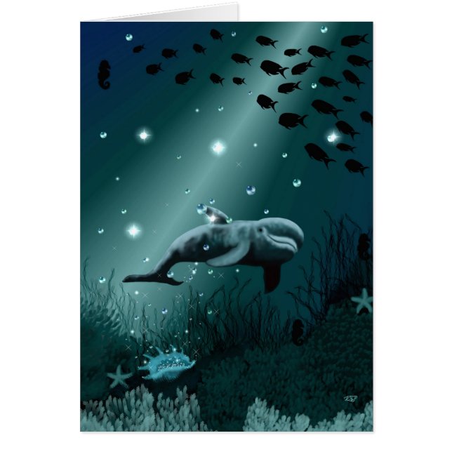 Dolphin Dream (Voorkant)
